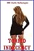 Torrid Indeceny: Five Explicit Erotica Stories
