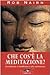 Che cos'è la meditazione?: introduzione al buddhismo e alla meditazione