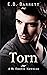 Torn: a bi erotic novella