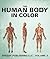 The Human Body In Color Volume 3