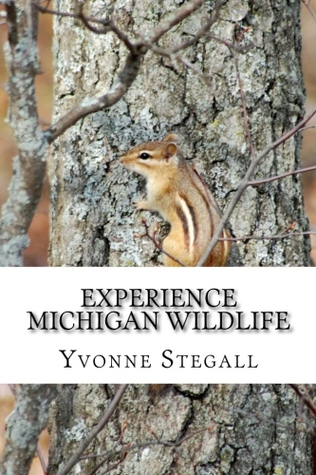 Experience Michigan Wildlife (Paperback)