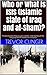 Who or What is ISIS (Islamic State of Iraq and al-Sham)?: The best book to help you gain a better understanding of the ISIS group and its reasons for existance