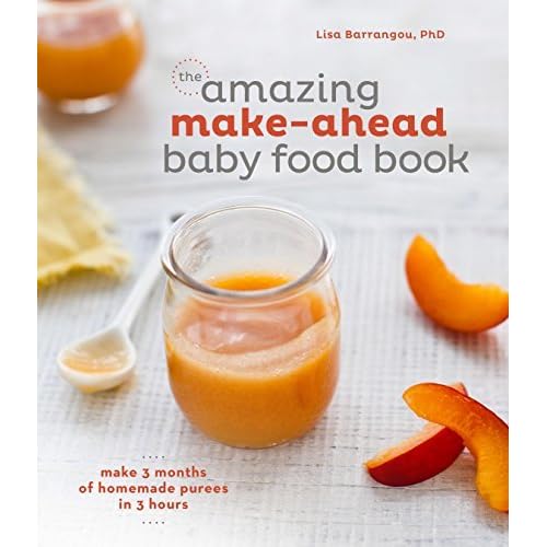 real baby food book