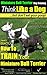 Miniature Bull Terrier Training | Think Like a Dog, But Don’t Eat Your Poop! |: Here's EXACTLY How to TRAIN Your Miniature Bull Terrier