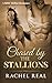 Chased by the Stallions (Bl...