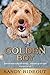 Golden Boy: How to Raise a ...
