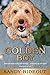 Golden Boy: How to Raise a Dog All Wrong