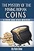 The mystery of the missing Roman coins (A Rich and Stan mystery Book 2)