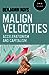 Malign Velocities: Accelerationism and Capitalism