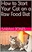 How to Start Your Cat on a Raw Food Diet