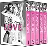 Blinding Love - Complete Collection by Liv Bennett