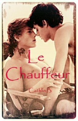 Le chauffeur (ebook)