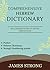 A Comprehensive Hebrew Dict...