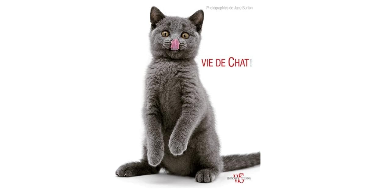 Vie De Chat By Jane Burton