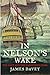 In Nelson's Wake: The Navy ...
