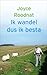 Ik wandel dus ik besta by Joyce Roodnat