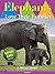 Elephants Love Their Families: A Children's Picture Book for Age 2-6 (Animals Love To Play 5)
