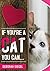 IF YOU’RE A CAT YOU CAN...