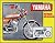 1974-1976 Yamaha RD125 RD20...