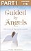 Guided By Angels by Paddy McMahon