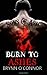 Burn to Ashes