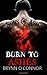 Burn to Ashes by Brynn O'Connor