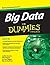 Big Data for Dummies