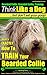 Bearded Collie, Bearded Collie Training | Think Like a Dog, But Don’t Eat Your Poop! |: Here's EXACTLY How To Train Your Bearded Collie