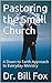 Pastoring the Small Church:...