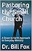 Pastoring the Small Church by Bill Fox