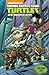 Teenage Mutant Ninja Turtles: New Animated Adventures, Vol. 6