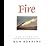 Fire (The Elements, 3)