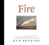 Fire (The Elements, 3)