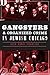 Gangsters and Organized Crime in Jewish Chicago (True Crime)