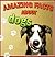 Amazing Facts about Dogs