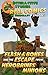 Flash and Bones Escape from Herobrine's Minions (Real Comics in Minecraft - Flash and Bones Book 3)