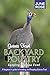 Guinea Fowl, Backyard Poult...