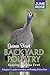 Guinea Fowl, Backyard Poultry by June Rose