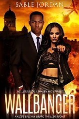Wallbanger (Kizzie Baldwin Erotic Thriller, #2)