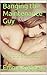 Banging the Maintenance Guy: An Erotic Short Story