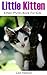Little Kitten: Kitten Photo...