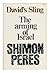 DAVID'S SLING: The Arming of Israel.