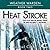Heat Stroke (Weather Warden, #2) by Rachel Caine