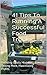 41 Tips To Running A Successful Food Truck: Avoiding Costly Mistakes, Selling More, Maximizing Profits
