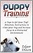 Puppy Training: 31 Steps to Get Your Dog's Attention. Instructions to Crate Your Dog and Increase Focus in a Distracted Environment (Puppy Training, Puppy training books, Puppy crate training,)