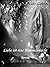 Liebe ist eine Himmelsmacht (German Edition)