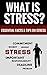 What Is Stress? - Essential Facts And Tips On Stress
