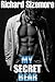My Secret Bear by Richard Sizemore