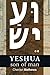 Yeshua, Son of Man