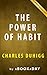 Summary of The Power of Habit by aBookaDay